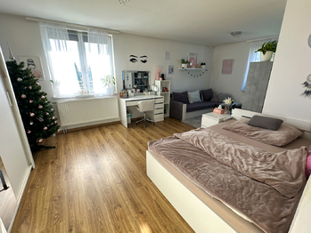 Prodej domu 300 m², Tachov