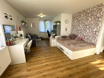 Prodej domu 300 m², Tachov