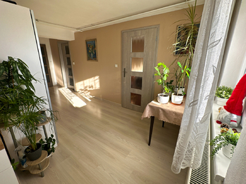 Prodej domu 300 m², Tachov