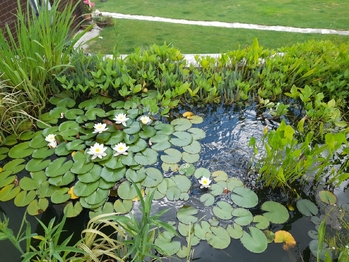 Prodej domu 300 m², Tachov