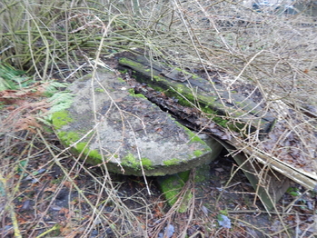 Studna - Prodej domu 70 m², Čistá