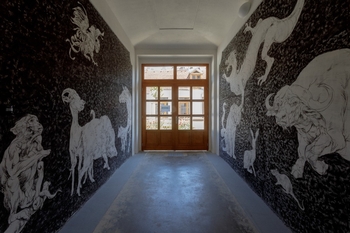 Pronájem kancelářských prostor 8 m², Plzeň