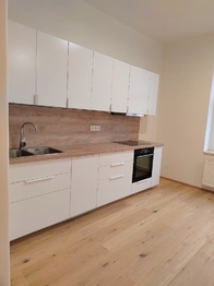 Pronájem bytu 3+kk v osobním vlastnictví 78 m², Plzeň