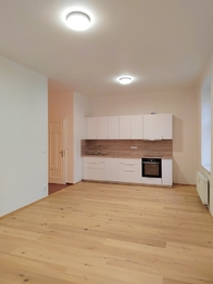 Pronájem bytu 3+kk v osobním vlastnictví 78 m², Plzeň
