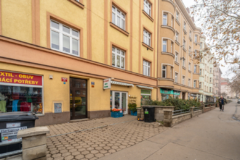 Pronájem bytu 2+1 v osobním vlastnictví 56 m², Praha 3 - Žižkov