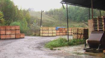 Prodej výrobních prostor 25000 m², Šitbořice