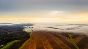 Prodej pozemku 2139 m², Nížkovice