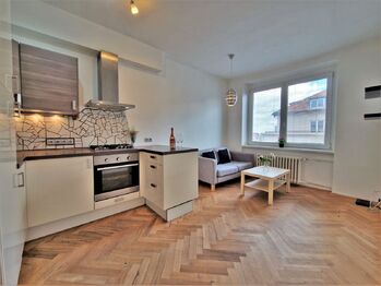 Pronájem bytu 1+1 v osobním vlastnictví 41 m², Praha 4 - Podolí
