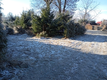 Prodej pozemku 2191 m², Pšov