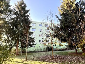 Prodej bytu 4+1 v osobním vlastnictví 78 m², Kyjov