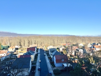 Prodej bytu 1+1 v osobním vlastnictví 34 m², Duchcov