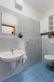 Pronájem bytu 1+kk v osobním vlastnictví 36 m², Praha 5 - Motol