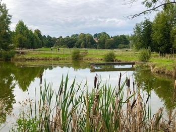 Prodej pozemku 172102 m², Vyskytná nad Jihlavou