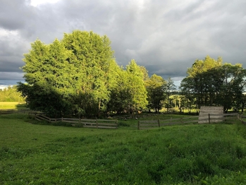 Prodej pozemku 172102 m², Vyskytná nad Jihlavou