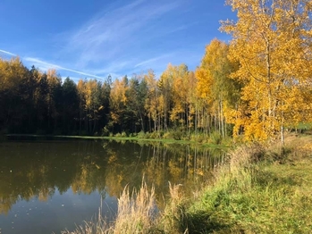 Prodej pozemku 172102 m², Vyskytná nad Jihlavou
