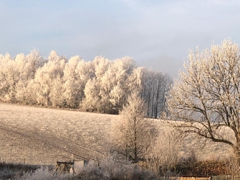 Prodej pozemku 172102 m², Vyskytná nad Jihlavou
