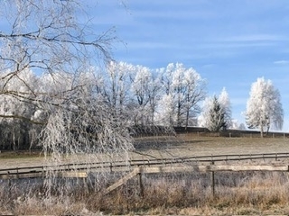 Prodej pozemku 172102 m², Vyskytná nad Jihlavou