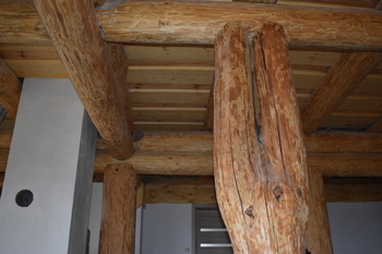 Prodej pozemku 172102 m², Vyskytná nad Jihlavou