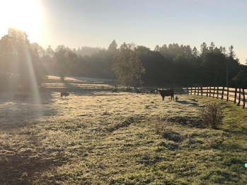 Prodej pozemku 172102 m², Vyskytná nad Jihlavou