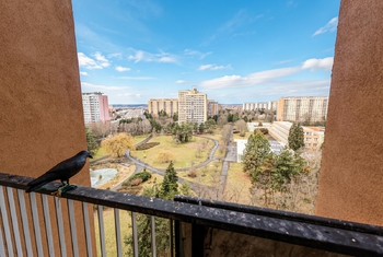 Pronájem bytu 3+1 v osobním vlastnictví 71 m², Praha 8 - Kobylisy