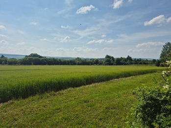 Prodej bytu 1+1 v osobním vlastnictví 59 m², Hradec nad Svitavou