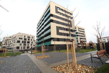 Pronájem bytu 2+1 v osobním vlastnictví 52 m², Praha 3 - Žižkov