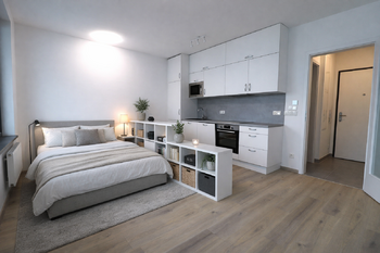 Pronájem bytu 1+kk v osobním vlastnictví 40 m², Praha 3 - Žižkov