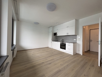 Pronájem bytu 1+kk v osobním vlastnictví 40 m², Praha 3 - Žižkov