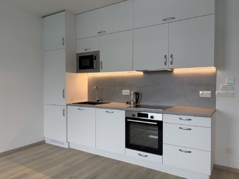 Pronájem bytu 1+kk v osobním vlastnictví 40 m², Praha 3 - Žižkov