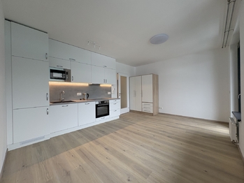 Pronájem bytu 1+kk v osobním vlastnictví 40 m², Praha 3 - Žižkov