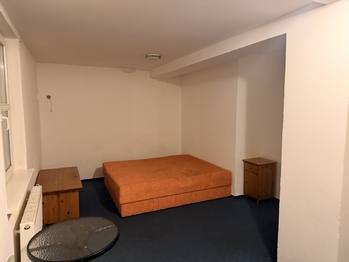 Pronájem bytu - pokoje v osobním vlastnictví 20 m², Planá