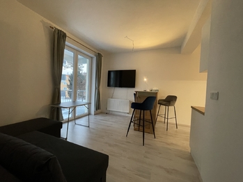 Pronájem bytu 2+kk v osobním vlastnictví 40 m², Nová Role