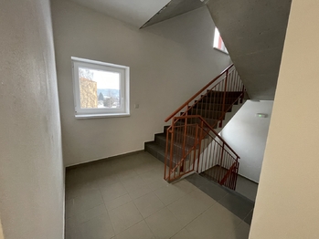 Pronájem bytu 2+kk v osobním vlastnictví 40 m², Nová Role