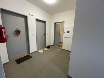 Pronájem bytu 2+kk v osobním vlastnictví 40 m², Nová Role