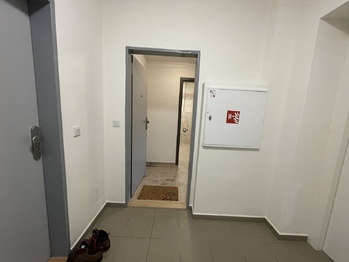 Pronájem bytu 2+kk v osobním vlastnictví 40 m², Nová Role