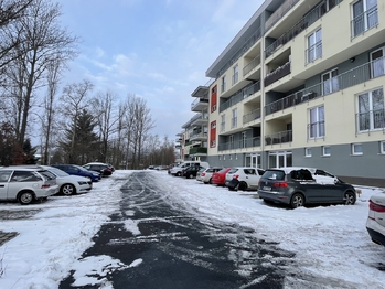 Pronájem bytu 2+kk v osobním vlastnictví 40 m², Nová Role