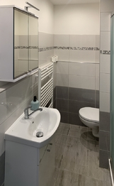 Koupelna - Pronájem bytu 1+kk v osobním vlastnictví 20 m², Rakovník