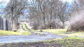 Prodej domu 75 m², Chraberce