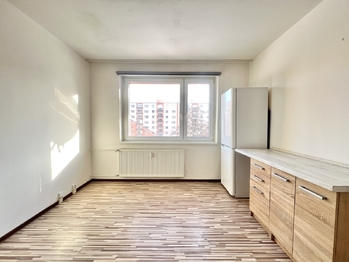 Prodej bytu 1+1 v družstevním vlastnictví 36 m², Jirkov