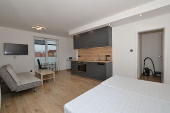 Pronájem bytu 1+kk v osobním vlastnictví 41 m², Plzeň