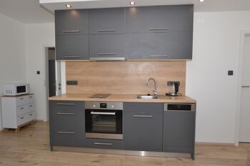 Pronájem bytu 1+kk v osobním vlastnictví 41 m², Plzeň