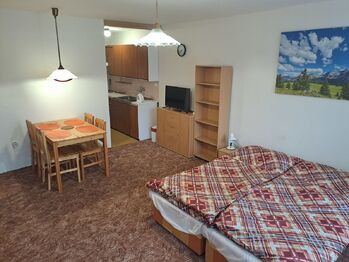 Pronájem bytu 1+kk v osobním vlastnictví 30 m², Praha 6 - Břevnov