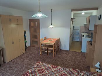 Pronájem bytu 1+kk v osobním vlastnictví 30 m², Praha 6 - Břevnov