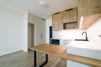 Pronájem bytu 1+kk v osobním vlastnictví 37 m², Praha 9 - Hloubětín