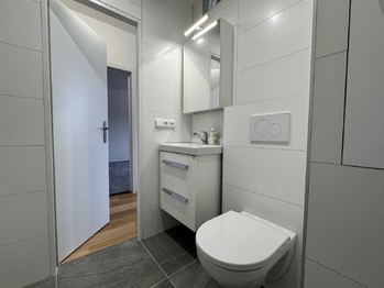 Pronájem bytu 1+1 v osobním vlastnictví 35 m², Brno