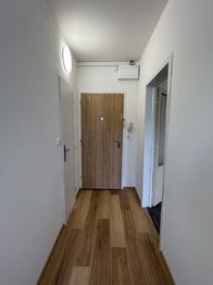 Pronájem bytu 1+1 v osobním vlastnictví 35 m², Brno