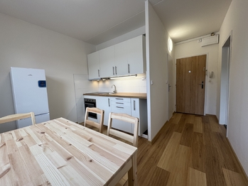 Pronájem bytu 1+1 v osobním vlastnictví 35 m², Brno