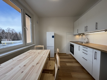 Pronájem bytu 1+1 v osobním vlastnictví 35 m², Brno