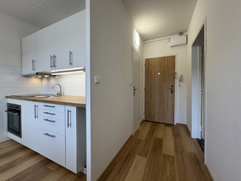 Pronájem bytu 1+1 v osobním vlastnictví 35 m², Brno