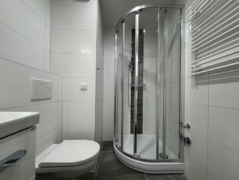 Pronájem bytu 1+1 v osobním vlastnictví 35 m², Brno